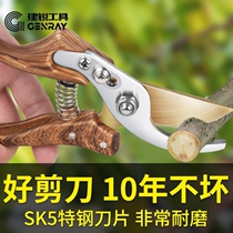 Jianrui scissors branches garden fruit tree scissors gardening flower scissors strong pruning shears picking fruit artifact