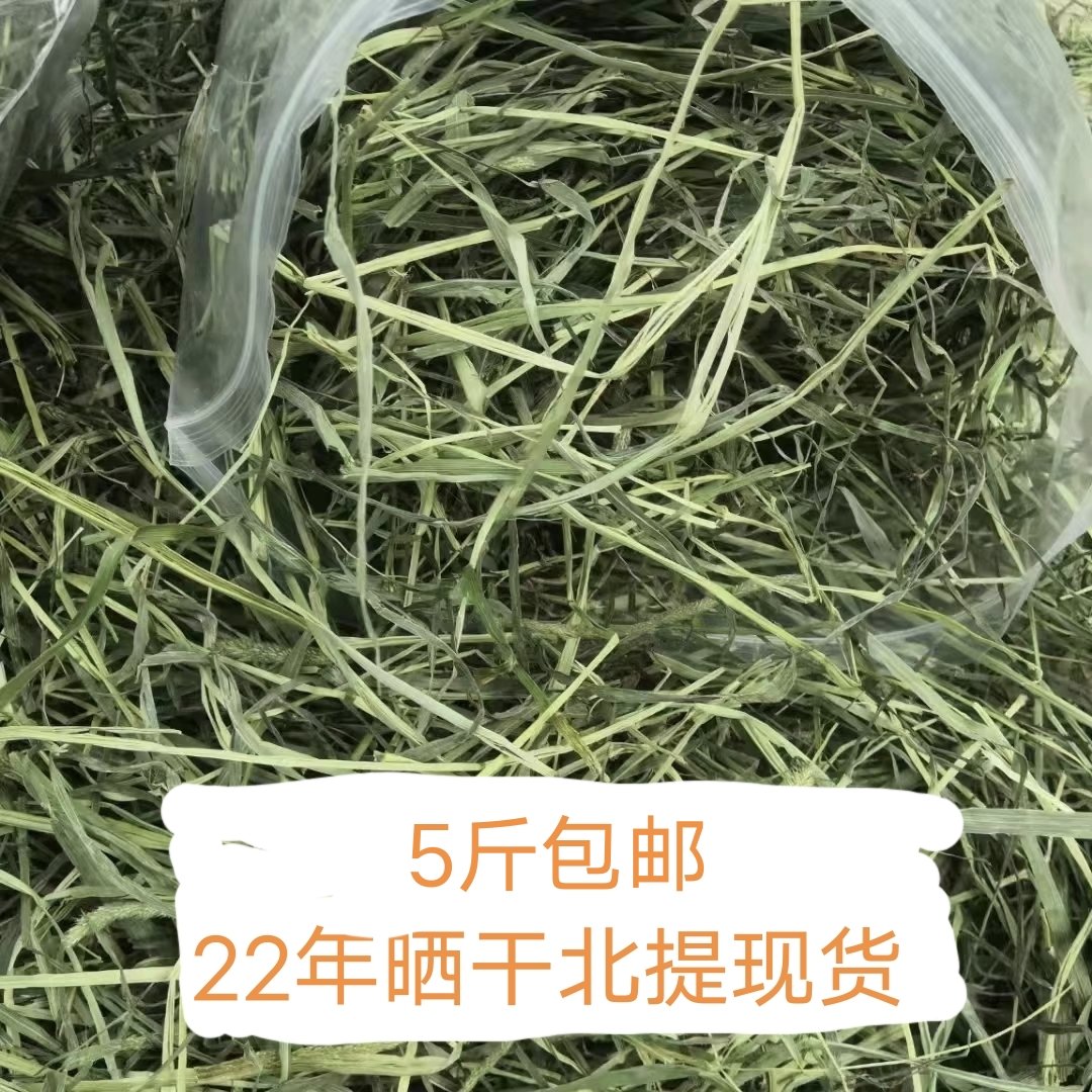 Rabbit Grass Shop No. 1 Dried Beiti Spot Rabbit Chinchilla Guinea Pig Grinding Teeth Timothy Grass Special Good Grass