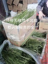 Hare rabbit grass paved 22 years weed nouveau drying North Carton Timothy Rabbit Dragon Gurpe gross weight 2 kg