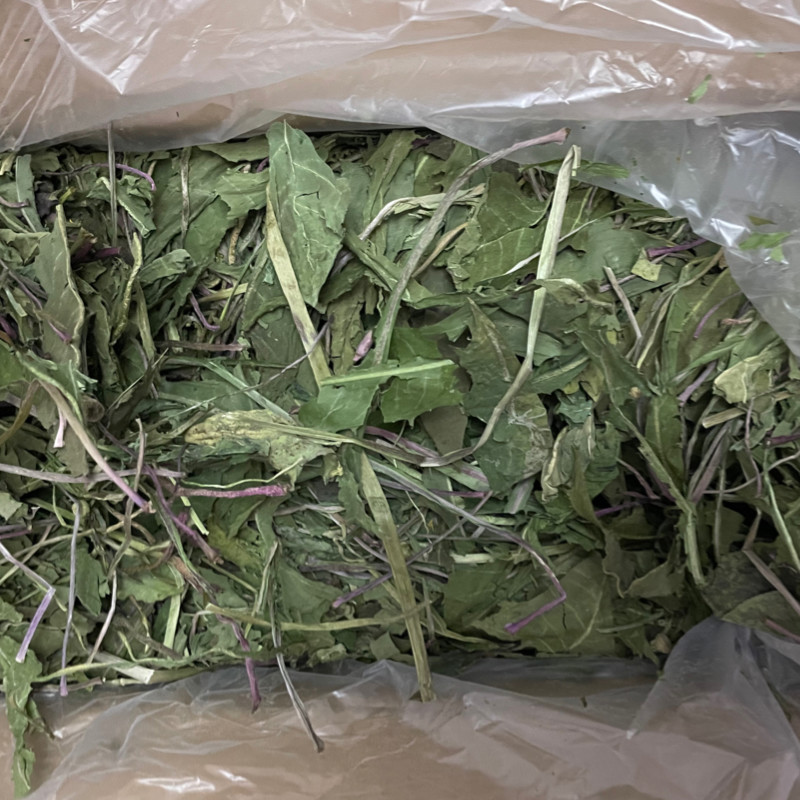 Dry dandelion net one pound rabbit pasture chinchilla grass guinea pig to treat cold enteritis, antibacterial and anti-inflammatory - Taobao