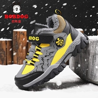 BBD8030 Серый желтый [большой хлопок] с волчьными зубами