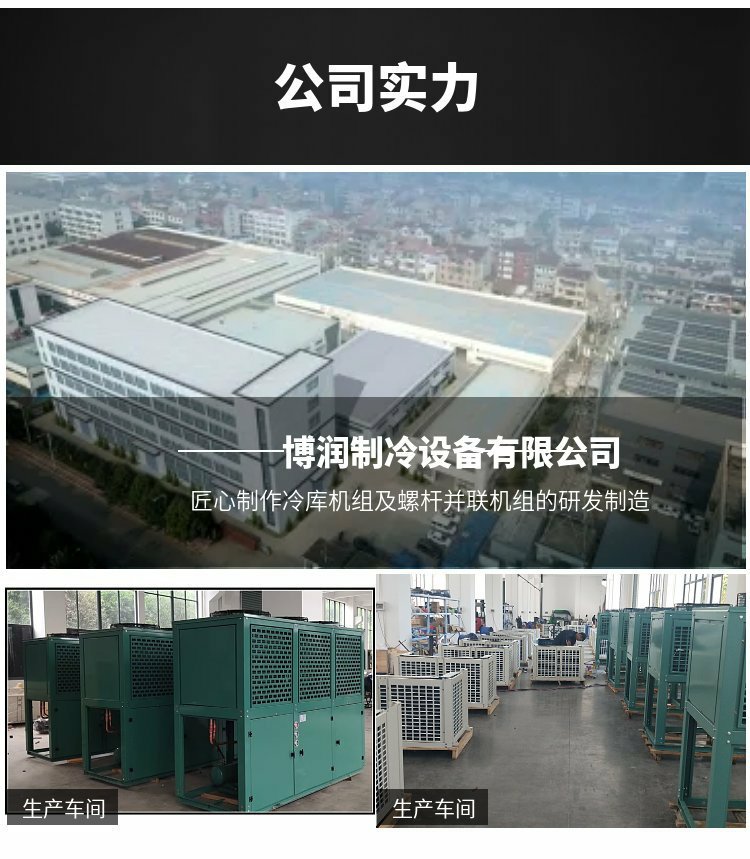 雪人莱富康 低温半封闭活塞压缩机 冷冻库中温制冷机组SP4LF1000(pic16)