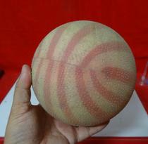 The old players plastic ball in the 1980s nostalgia collection of movie props folk childhood memory of the physical picture is the same