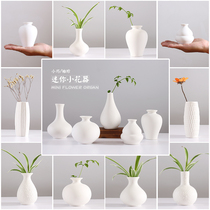 Living room vase decoration starry Nordic simple flowers insert dry floral table Mini small porcelain bottle American style