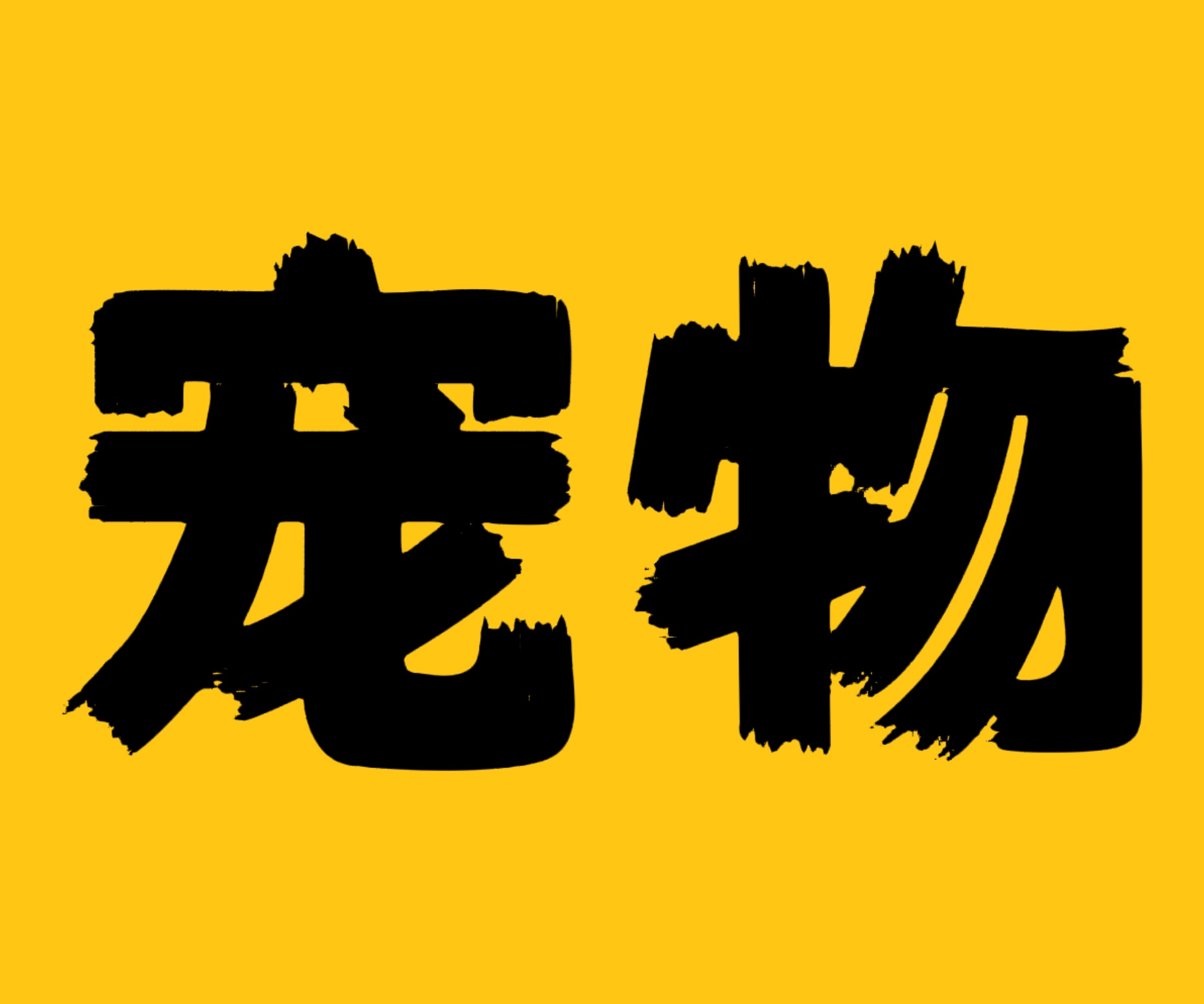 秋月宠物用品