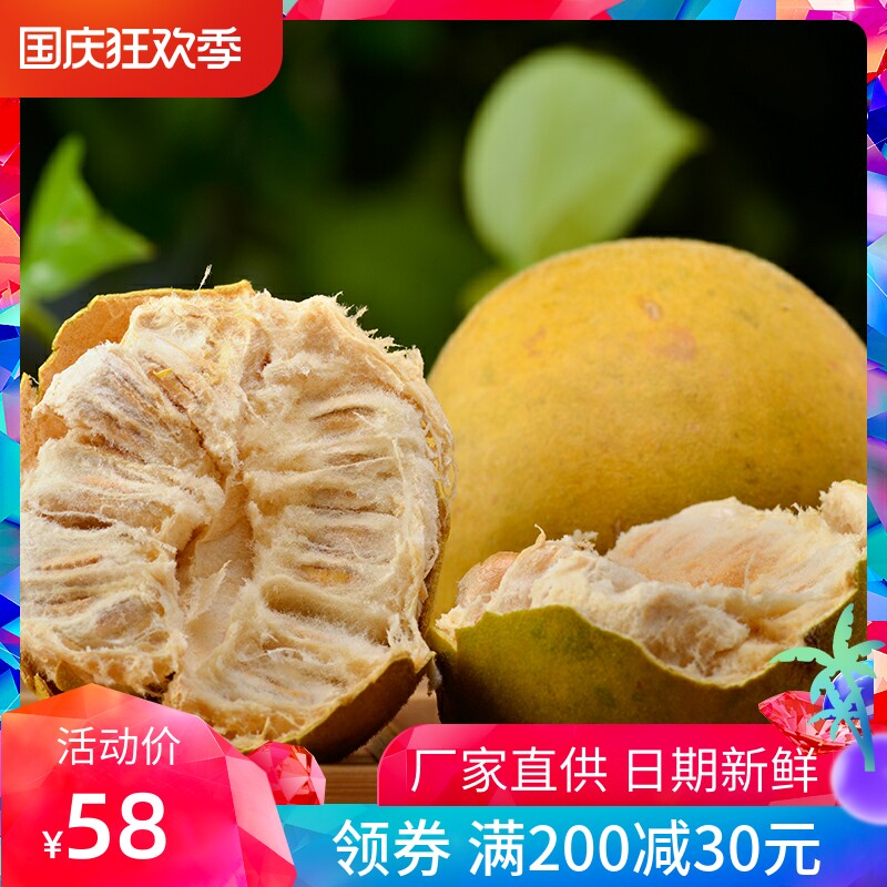 Golden Monk Fruit 12 Gift Boxes KB Kangbo Low Temperature Dehydration Freeze Dried Monk Fruit Tea Produced in Yongfu, Guilin