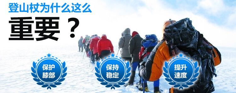 Ba lô trekking đích thực - Gậy / gậy bán gậy gỗ cho người già	