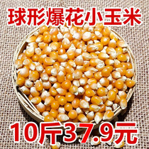 Ball popping small corn burst corn new goods 10kg Popcorn special small Corn Popcorn Popcorn special