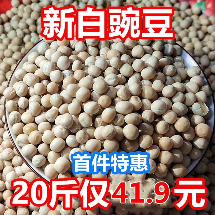 Pea White pea 2020 new dry raw pea Farm peas can be brewed and germinated to feed pigeons