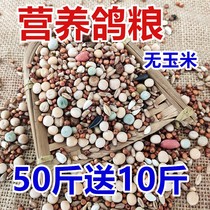 50kg of pigeon grain to send 10kg of corn-free nutrition pigeon grain nutrition racing pigeon ornamental pigeon meat pigeon feed