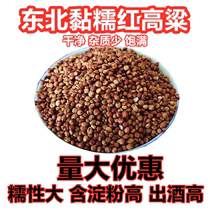 10 Jin 2021 New Red Sorghum glutinous sorghum rice sticky sorghum with skin glutinous red sorghum shell glutinous sorghum wine special purpose