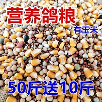 50 catties of pigeon grain to send 10 kilograms of corn pigeon grain nutrition feed bird food Racing Pigeon ornamental pigeon meat pigeon