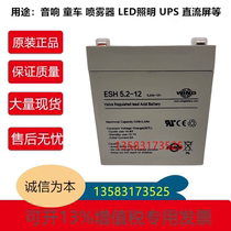 WING battery ESH5 2-12 12V5 2AH precision instrument battery ES5 2-12 in stock