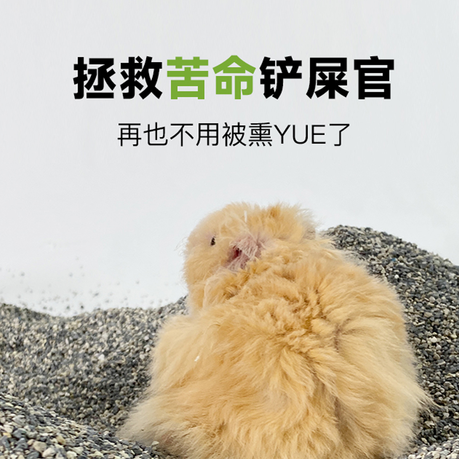 揭秘宠物仓鼠的秘密小天地——尿砂与垫料