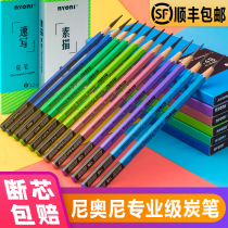 Gnoni Charcoal Pen Fine Art Sketching Exam Special Writing Raw Arts Exam Speed Writing Painting Soft 12B14B Sub Light Pencil