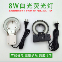 220V8W荧光环形灯源 显微镜环形灯管 白色荧光灯管 内径62mm DG8W