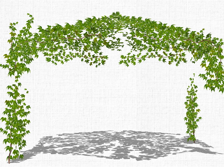 T212藤本绿植植物SU模型爬藤藤蔓攀爬植物垂吊绿墙sketchup组...-12