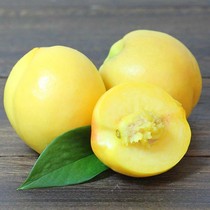 5 pounds of SF Northeast specialty butter peach Fresh peach Sweet peach peach peach