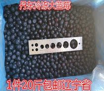 20 pounds of blueberries frozen frozen blueberry juice jam drink shop special baking jam blueberry raw materials