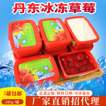 3 cans 260g Dandong specialty frozen strawberries Frozen strawberries Fresh 99 strawberries Canned strawberries