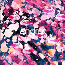 Japan Kanda andro table tennis rubber protective film electrostatic protective film one piece