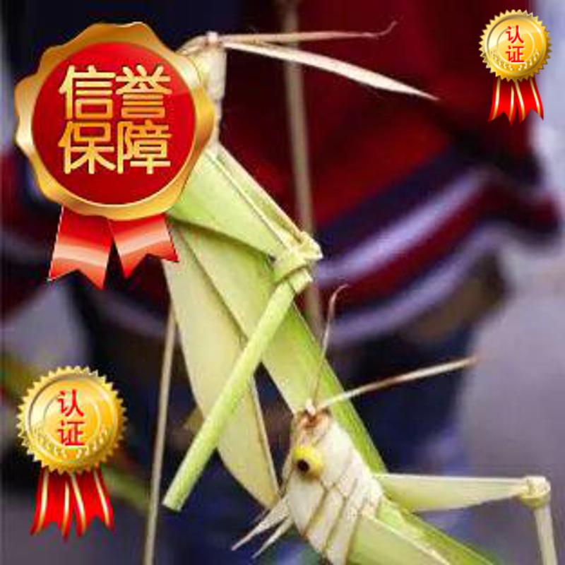 Shanghai Folk Art Craft Life Day Party Annual Meeting Gift Instrument Celebration Wedding Banquet Grass-compiled Performance Service