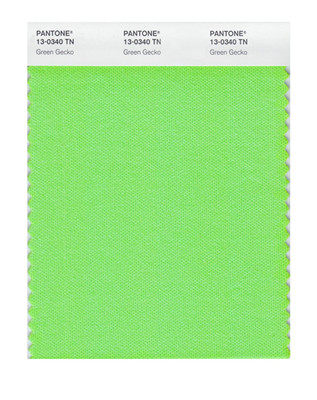 PANTONE SWATCH CARD NYLON Pantone Textile Color Card 13-0340TN Nylon Fluorescent Color System