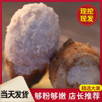 Jiangxi Qianshan authentic farmhouse Red Bud Taro 5kg whole box self-growing small taro fresh vegetables