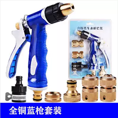 All copper new Minya metal water pipe car household car wash set water gun brush wash car gardening water tool