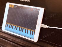 Yamaha Casio Roland Cavali electric piano data cable iPad iphone Apple cable