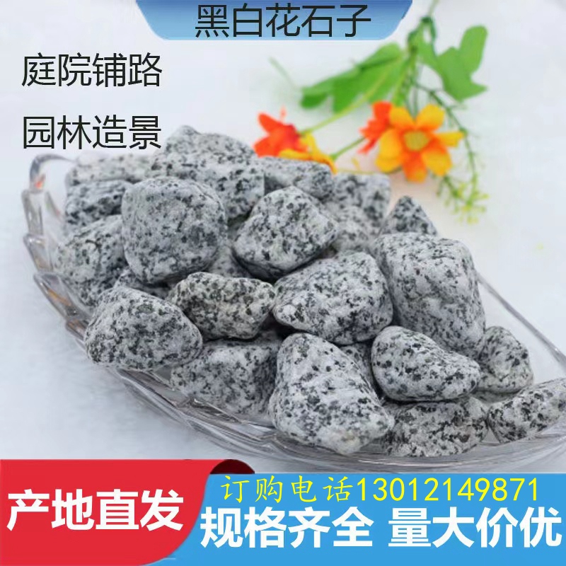 Dry Landscape Black and White Dots Sesame Gray Stones Pebbles Sesame White Stones Black Gravel Dark Gray Washed Stones