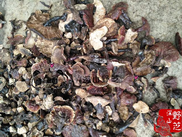 Wild Tibetan Lingzhi Wild White Hearty of Sesame Cheese White Hearts Red-Sesame Lingzhi 500g Free Sliced Powder