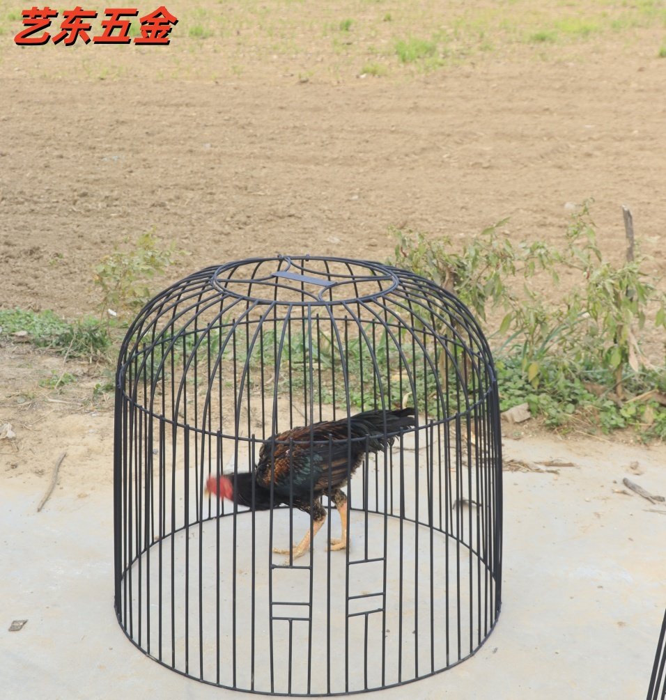 新款斗鸡笼子为何被称为折叠大号便宜全罩笼神器?耐用性和实用性如何?-养殖用具-淘宝好物网