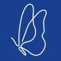 蝴蝶效应 BUTTERFLY  E