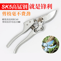 Imported SK5 manganese steel pruning scissors Branch scissors Fruit branch flower branch scissors Fruit tree scissors Garden gardening coarse branch scissors