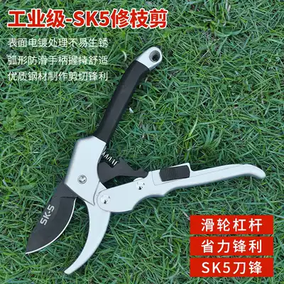 Pruning shears, flower scissors, gardening scissors, tree shears, flower shears, flower shears, flower shears, flower shears, garden forest tools