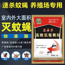 Qius black killer powerful insecticide powder against water spray to kill the pale mosquito cockroach bedbug 25g 10 10 bag