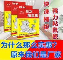 Strong mouse paste sticky mouse board 10 pieces