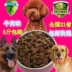 Thức ăn cho chó số lượng lớn thịt chó có hương vị thịt chó 5 kg chó lớn và trung bình dành cho người lớn Teddy Golden Retriever Husky thức ăn cho cún Gói Singular