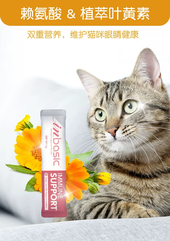 Med L-lysine 10g mèo mũi mèo amine mèo điều hòa với nước mắt hắt hơi mèo amoniac 10 túi - Cat / Dog Health bổ sung