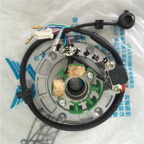 Huayang 160 off-road motorcycle Zongshen ZSW155 engine magneto coil magneto steel magneto assembly