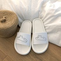 Lin Xingshen South Korea ins Super fire student dormitory slippers female 2020 Summer new Tide Red Net red home cool