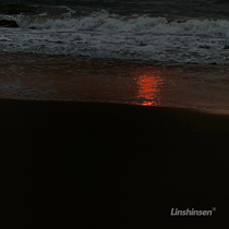 Shipping postage link Take a 1 yuan