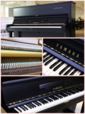 Yamaha Yamaha Импортированный дом начинающий U1/U2/U3.