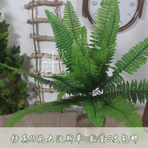18 Heads persian grass simulated plant simulated fern green plant wall wedding decoration false leaf false grass green large leaves