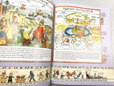 Детская книга оригинальные 英文原版 the vikings