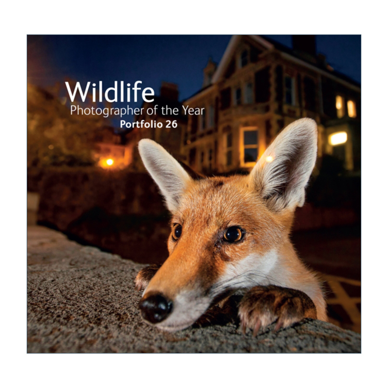 English Original Version Wildlife Photographer of the Year Portfolio 26 Annual Wildlife Photographer Portfolio Volume 26 Hardcover English Edition Imported English Original Book
