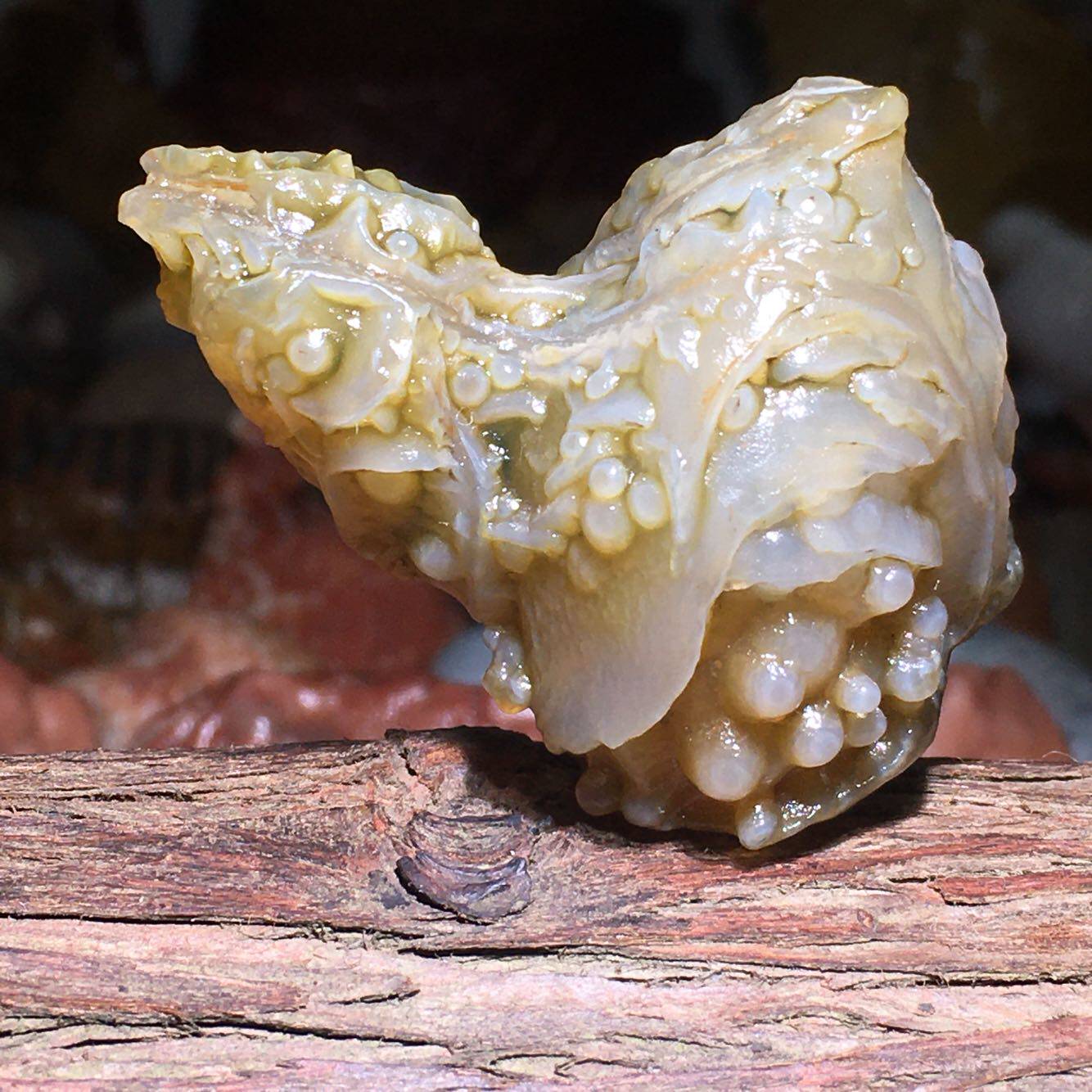 Alxa Agate Gobi rough live room special shooting hyperlink