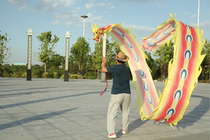 Adult Beginnics Single Sided Silk Cloth Fitness Dragon Dance Dragon Dance Dragon 8 m 8 m 10 m 13 m 13 m Throw Ribbon can be ordered