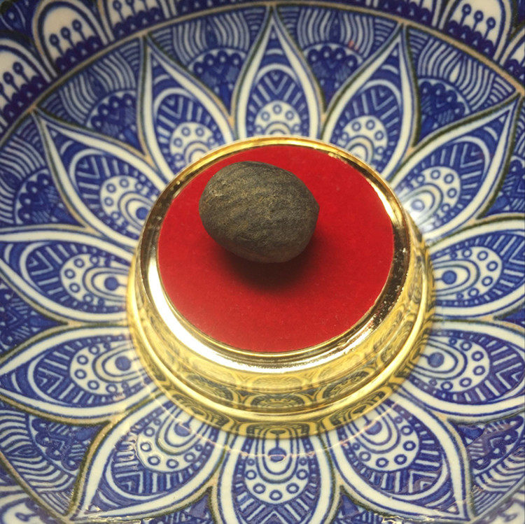 Great Black Titan Mooney Costume Hide Gau Box Sherita for tasts 15 * 13mm